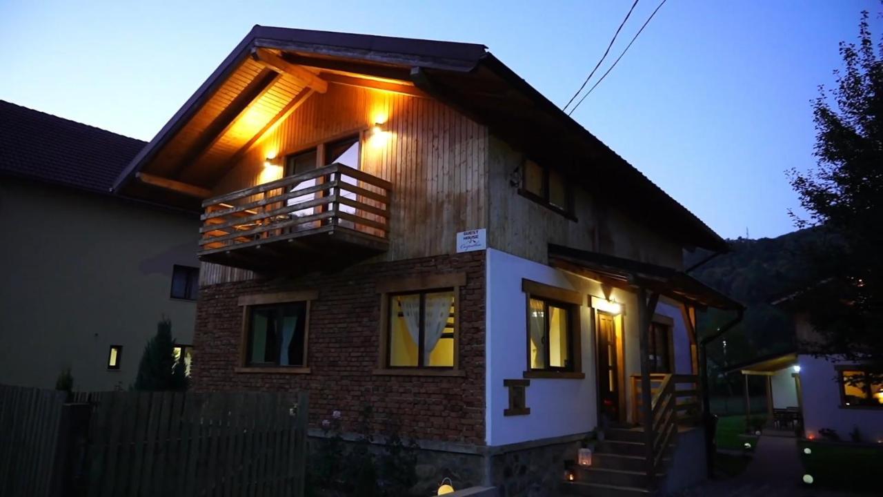 Guest House Carpathia Vişeu de Sus Exterior foto